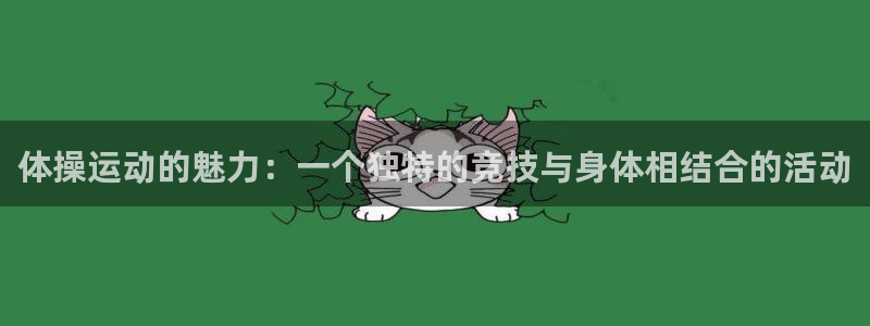 哈哈体育十年