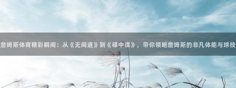哈哈体育