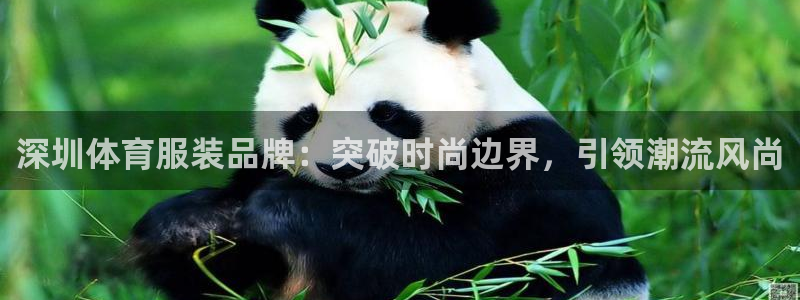 哈哈体育下载