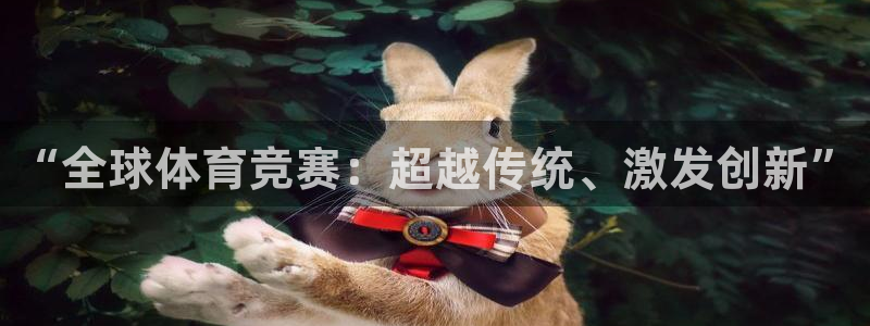 哈哈体育