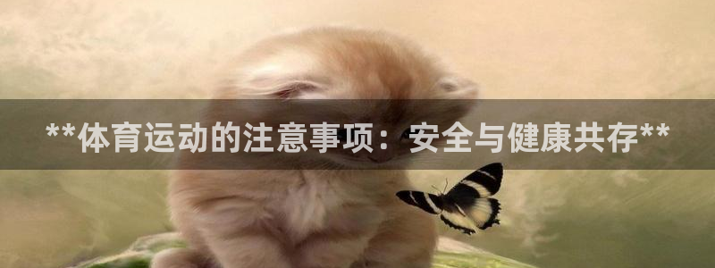 哈哈体育十年