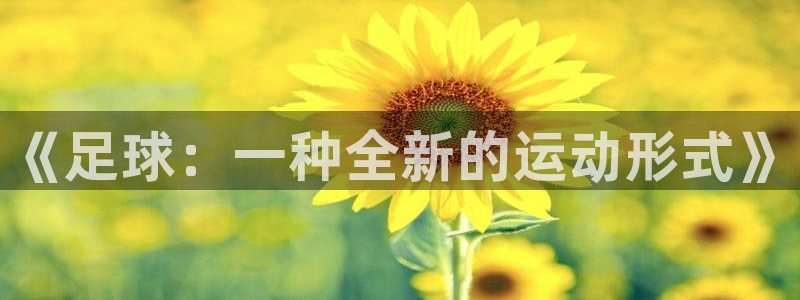 哈哈体育下载