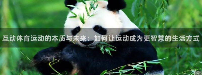 哈哈体育下载
