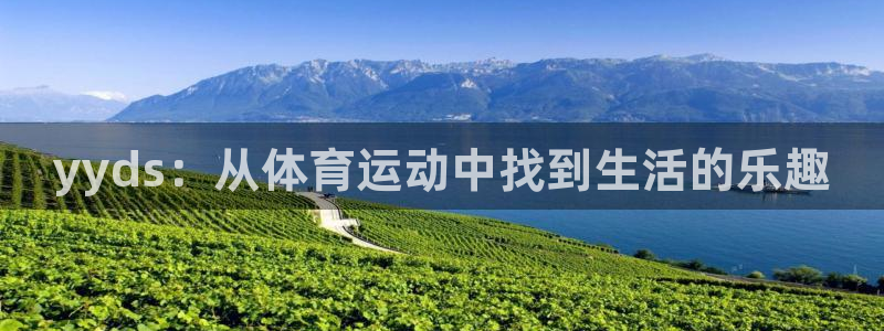 哈哈体育十年