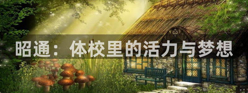 哈哈体育十年