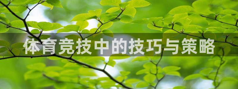 哈哈体育下载