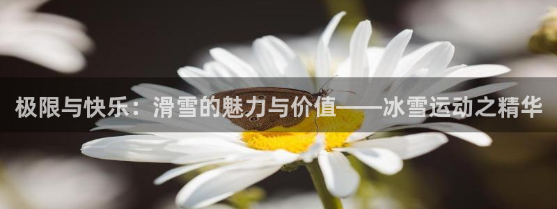 哈哈体育十年