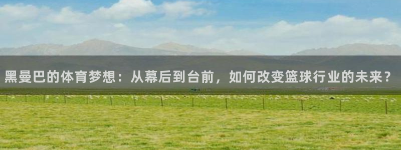 哈哈体育下载
