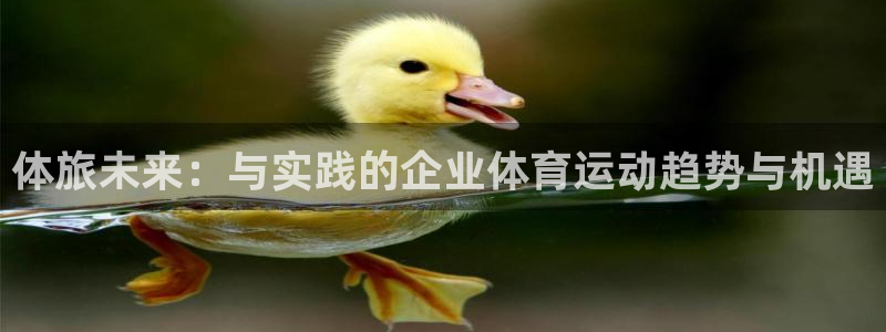 哈哈体育下载
