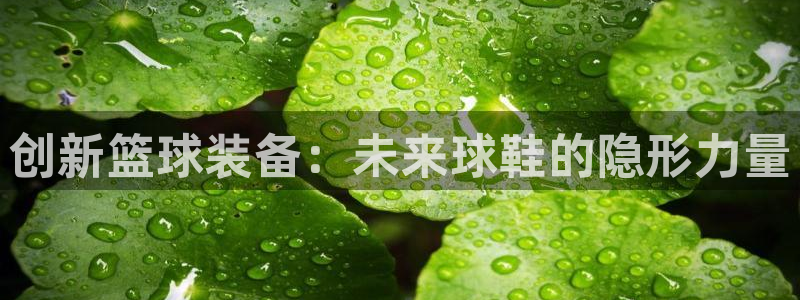 哈哈体育十年